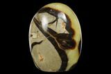 Free-Standing, Polished Septarian - Madagascar #174590-1